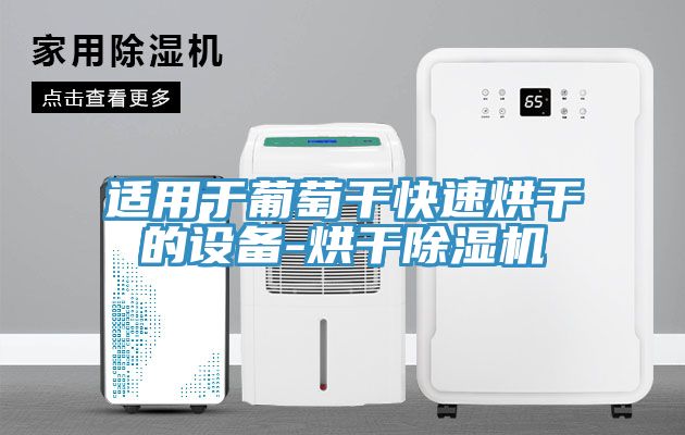 適用於葡萄幹快速烘幹的設備-烘幹榴莲视频官网APP
