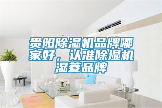 貴陽榴莲视频官网APP品牌哪家好，認準榴莲视频官网APP濕菱品牌