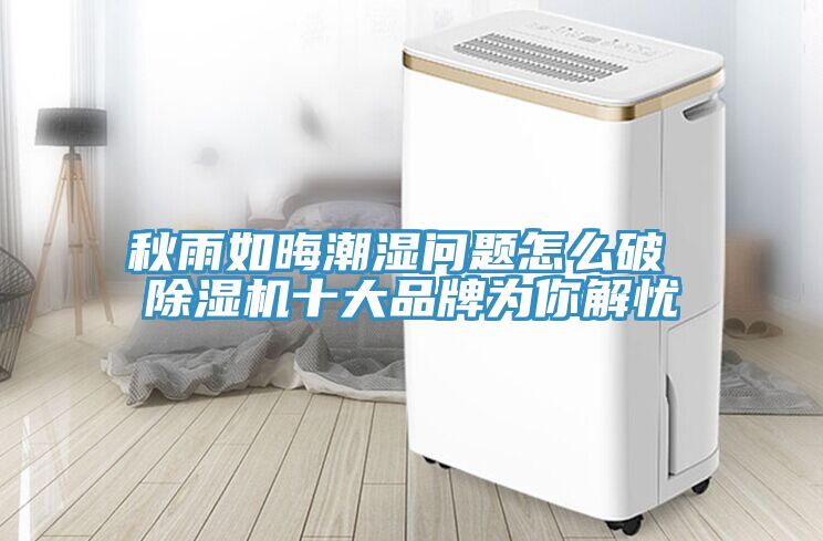 秋雨如晦潮濕問題怎麽破 榴莲视频官网APP十大品牌為你解憂