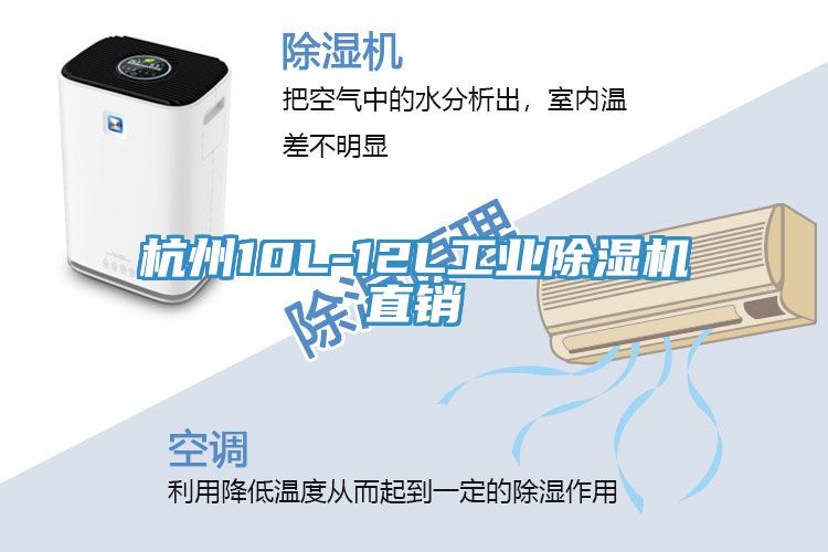 杭州10L-12L工業榴莲视频官网APP直銷