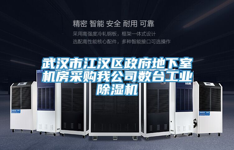 武漢市江漢區政府地下室機房采購我公司數台工業榴莲视频官网APP