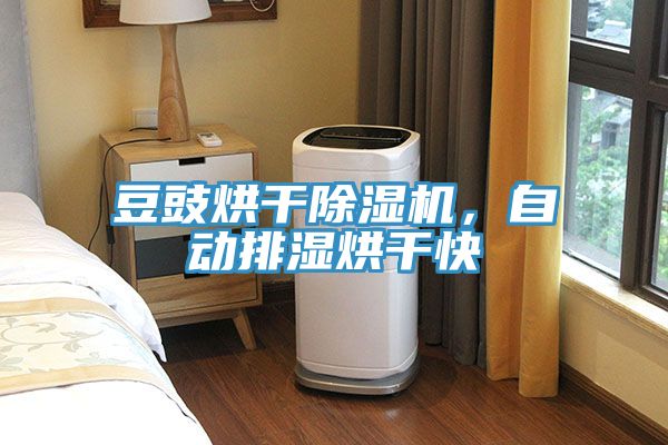 豆豉烘幹榴莲视频官网APP，自動排濕烘幹快