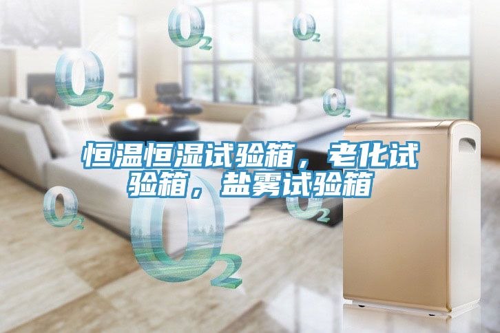 恒溫恒濕試驗箱，老化試驗箱，鹽霧試驗箱