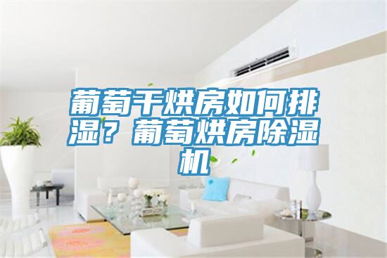 葡萄幹烘房如何排濕？葡萄烘房榴莲视频官网APP