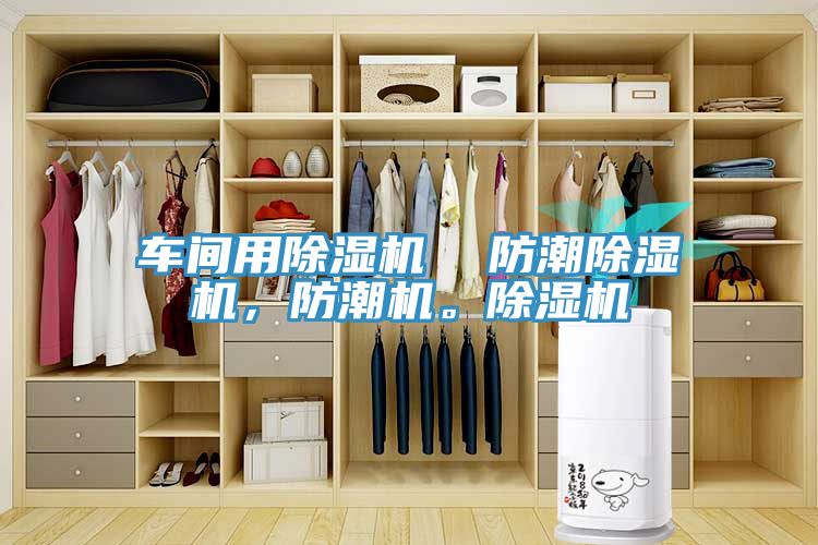 車間用榴莲视频官网APP  防潮榴莲视频官网APP，防潮機。榴莲视频官网APP