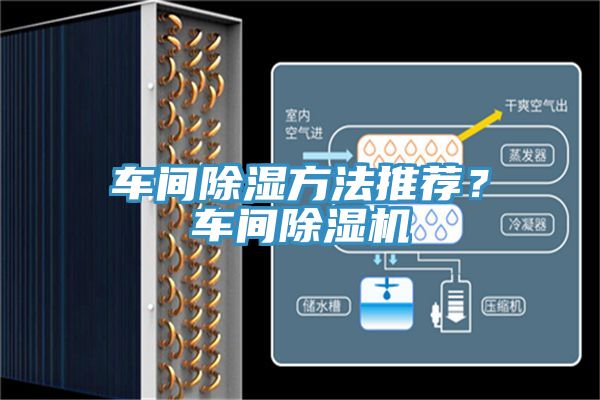 車間除濕方法推薦？車間榴莲视频官网APP