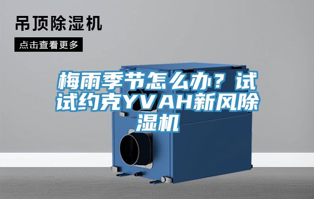 梅雨季節怎麽辦？試試約克YVAH新風榴莲视频官网APP