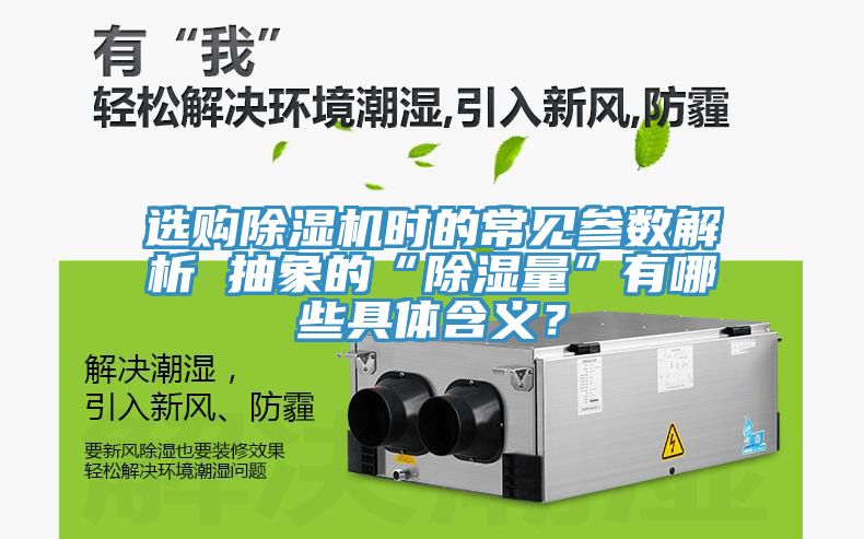 選購榴莲视频官网APP時的常見參數解析 抽象的“除濕量”有哪些具體含義？