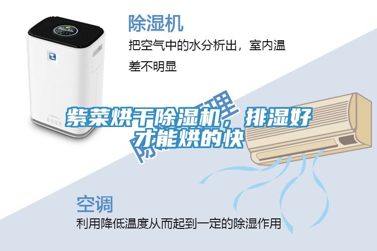 紫菜烘幹榴莲视频官网APP，排濕好才能烘的快
