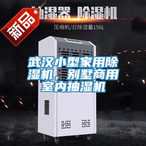 武漢小型家用榴莲视频官网APP，別墅商用室內抽濕機