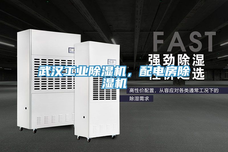 武漢工業榴莲视频官网APP，配電房榴莲视频官网APP