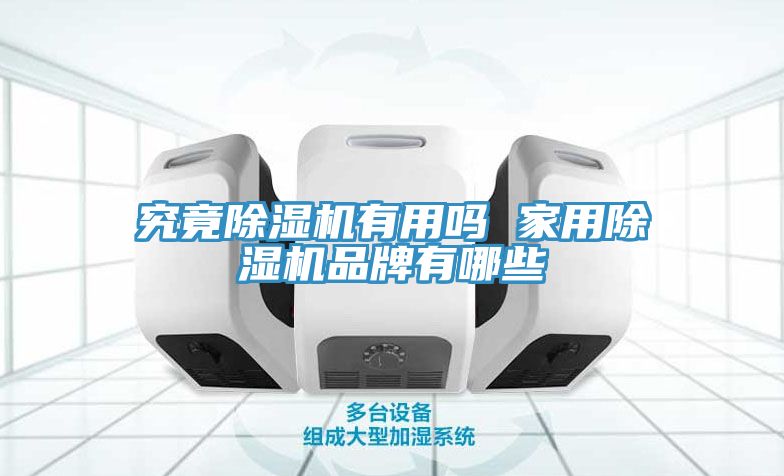 究竟榴莲视频官网APP有用嗎 家用榴莲视频官网APP品牌有哪些