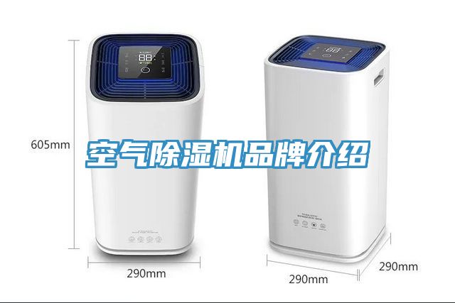 空氣榴莲视频官网APP品牌介紹