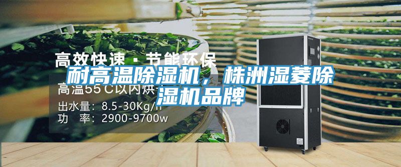 耐高溫榴莲视频官网APP，株洲濕菱榴莲视频官网APP品牌
