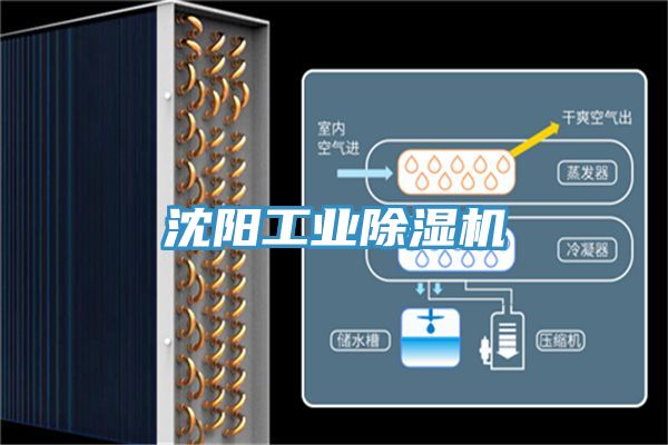 沈陽工業榴莲视频官网APP