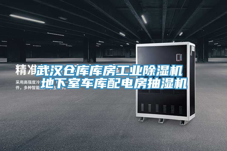 武漢倉庫庫房工業榴莲视频官网APP 地下室車庫配電房抽濕機