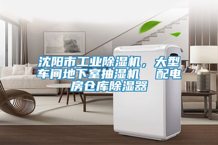 沈陽市工業榴莲视频官网APP，大型車間地下室抽濕機  配電房倉庫除濕器