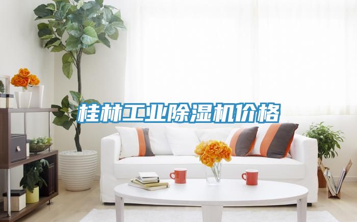 桂林工業榴莲视频官网APP價格