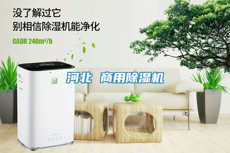 河北 商用榴莲视频官网APP