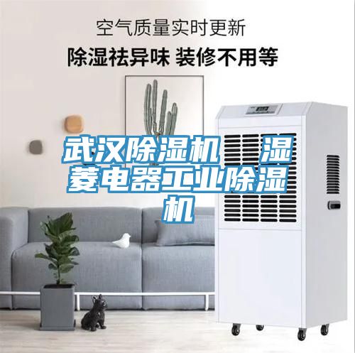 武漢榴莲视频官网APP  濕菱電器工業榴莲视频官网APP