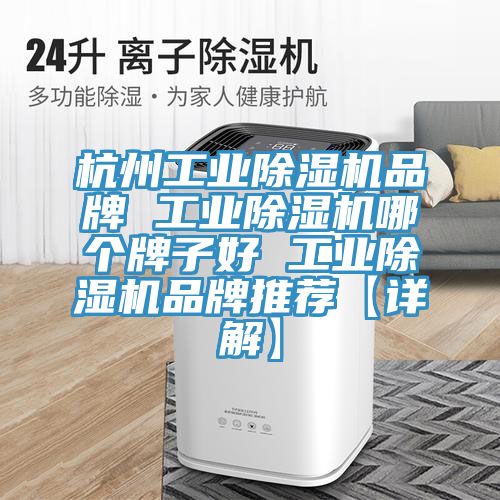 杭州工業榴莲视频官网APP品牌 工業榴莲视频官网APP哪個牌子好 工業榴莲视频官网APP品牌推薦【詳解】