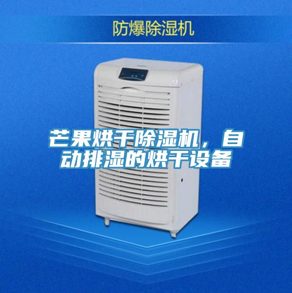 芒果烘幹榴莲视频官网APP，自動排濕的烘幹設備