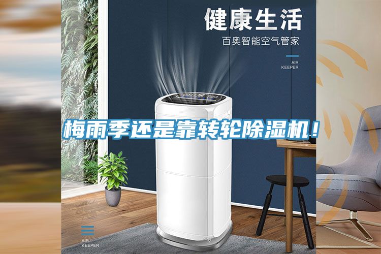 梅雨季還是靠轉輪榴莲视频官网APP！