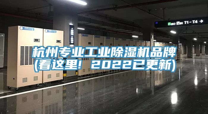 杭州專業工業榴莲视频官网APP品牌(看這裏! 2022已更新)