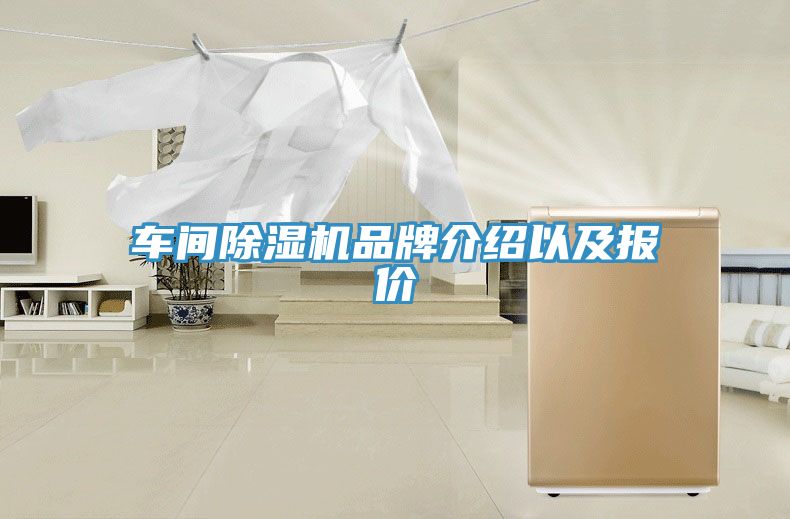 車間榴莲视频官网APP品牌介紹以及報價