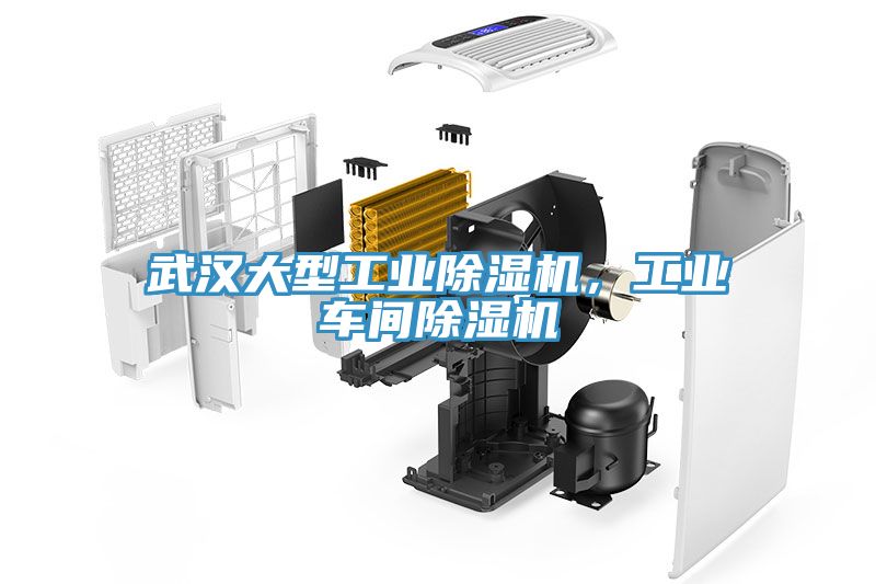 武漢大型工業榴莲视频官网APP，工業車間榴莲视频官网APP