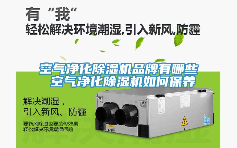 空氣淨化榴莲视频官网APP品牌有哪些 空氣淨化榴莲视频官网APP如何保養