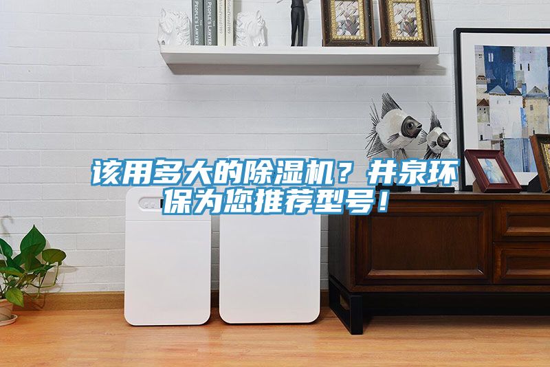 該用多大的榴莲视频官网APP？井泉環保為您推薦型號！