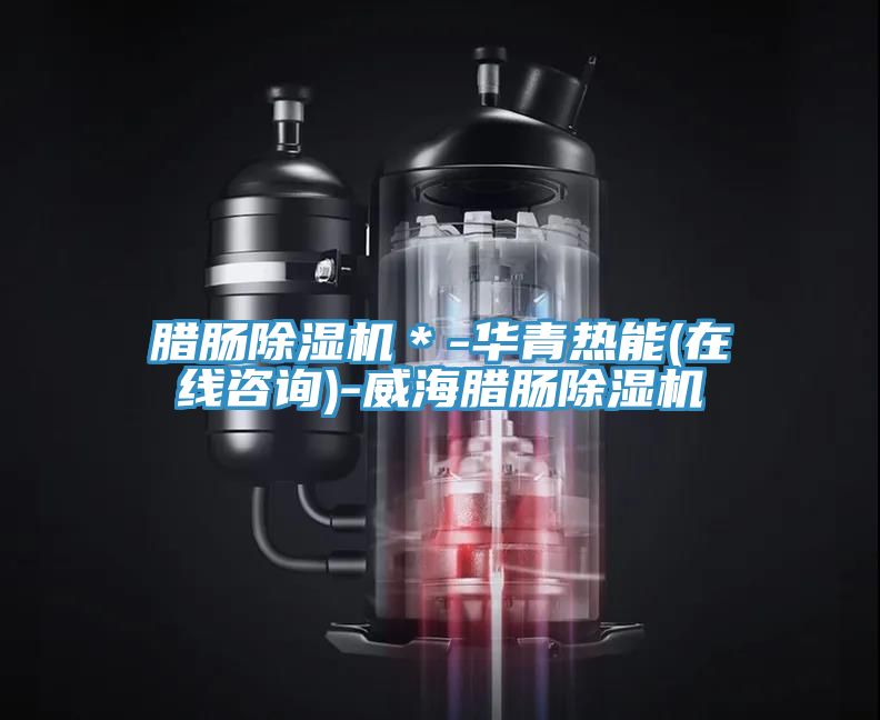 臘腸榴莲视频官网APP＊-華青熱能(在線谘詢)-威海臘腸榴莲视频官网APP