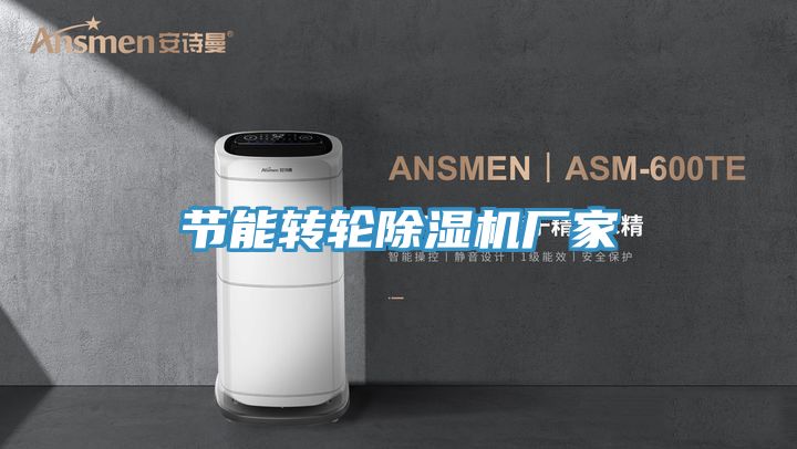 節能轉輪榴莲视频官网APP廠家