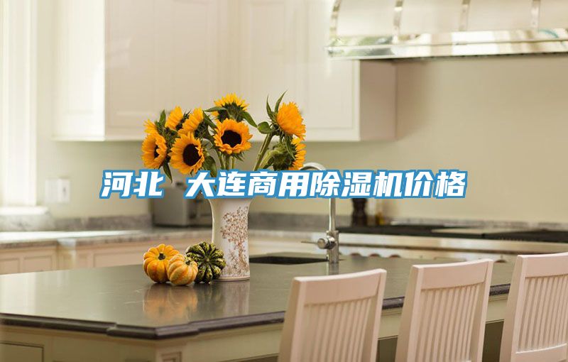 河北 大連商用榴莲视频官网APP價格