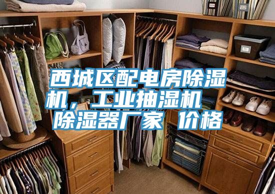 西城區配電房榴莲视频官网APP，工業抽濕機  除濕器廠家 價格