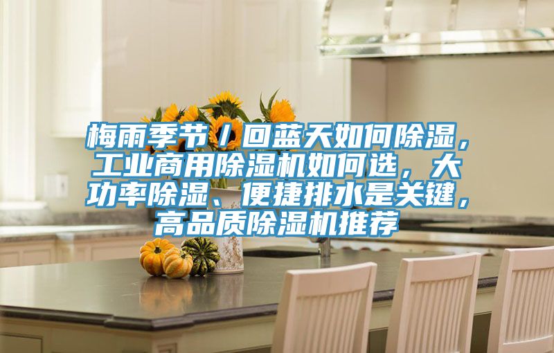 梅雨季節／回藍天如何除濕，工業商用榴莲视频官网APP如何選，大功率除濕、便捷排水是關鍵，高品質榴莲视频官网APP推薦