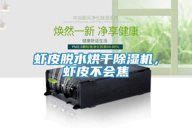 蝦皮脫水烘幹榴莲视频官网APP，蝦皮不會焦