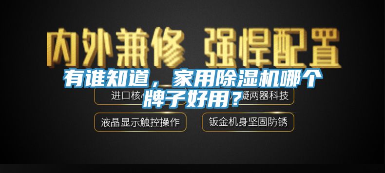 有誰知道，家用榴莲视频官网APP哪個牌子好用？