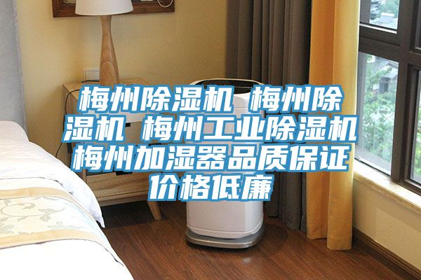 梅州榴莲视频官网APP☆梅州榴莲视频官网APP☆梅州工業榴莲视频官网APP☆梅州加濕器品質保證價格低廉