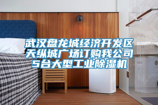 武漢盤龍城經濟開發區天縱城廣場訂購我公司5台大型工業榴莲视频官网APP