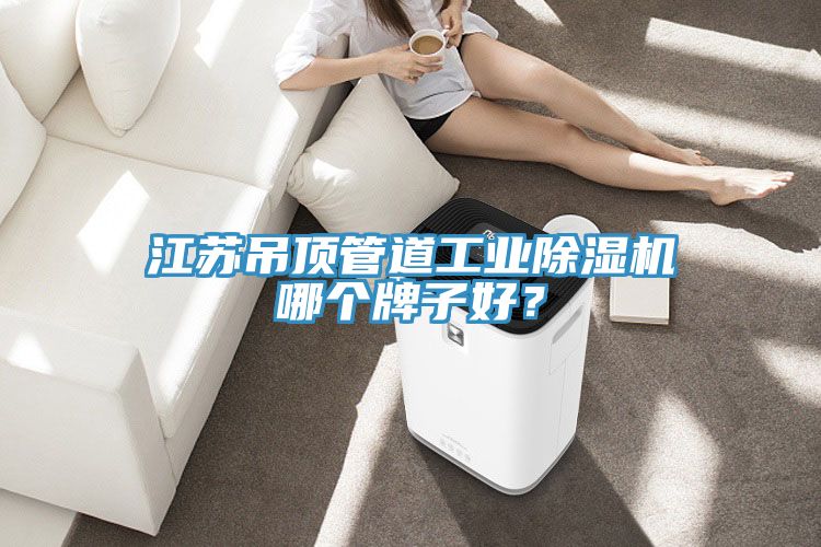 江蘇吊頂管道工業榴莲视频官网APP哪個牌子好？