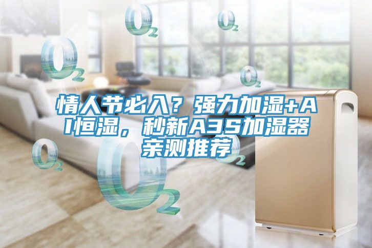 情人節必入？強力加濕+AI恒濕，秒新A3S加濕器親測推薦