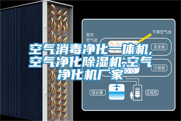 空氣消毒淨化一體機,空氣淨化榴莲视频官网APP,空氣淨化機廠家