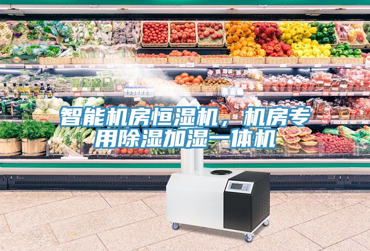 智能機房恒濕機，機房專用除濕加濕一體機