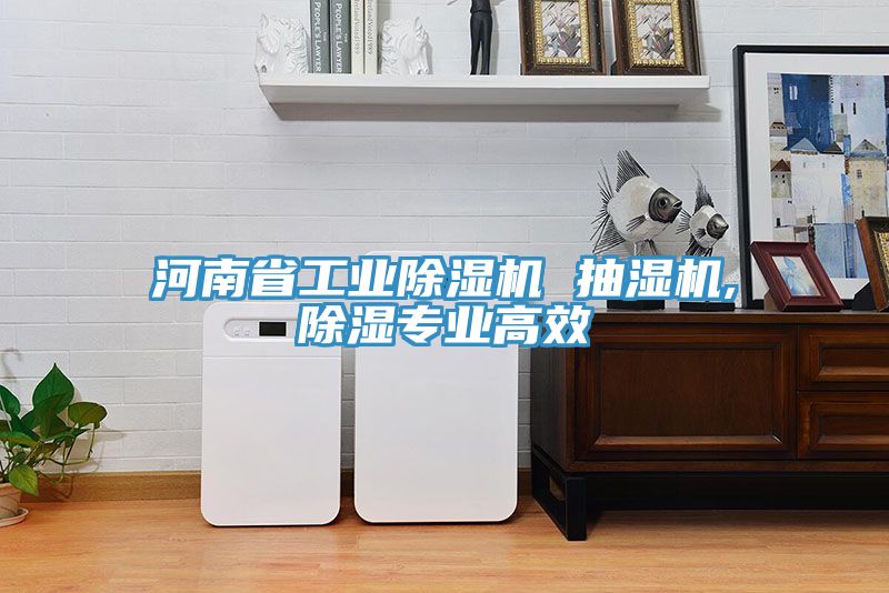 河南省工業榴莲视频官网APP 抽濕機,除濕專業高效