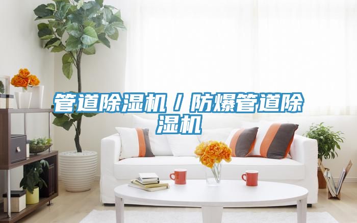 管道榴莲视频官网APP／防爆管道榴莲视频官网APP