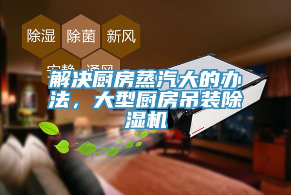 解決廚房蒸汽大的辦法，大型廚房吊裝榴莲视频官网APP