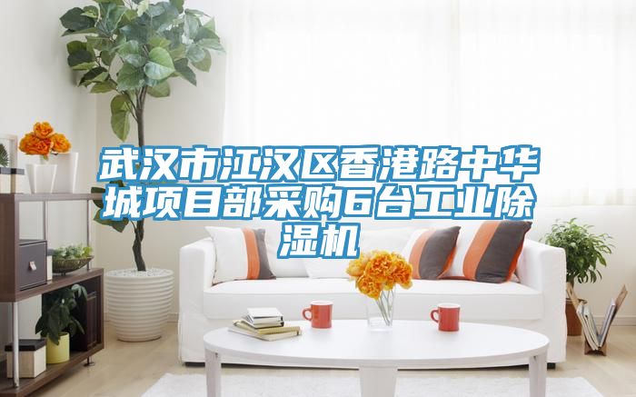 武漢市江漢區香港路中華城項目部采購6台工業榴莲视频官网APP
