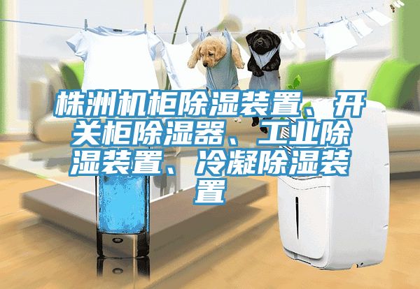 株洲機櫃除濕裝置、開關櫃除濕器、工業除濕裝置、冷凝除濕裝置